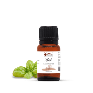 Basil Essential Oil 10ml