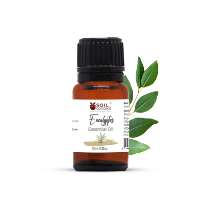 Eucalyptus Essential Oil 10ml