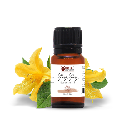 Ylang Ylang Essential Oil 10ml