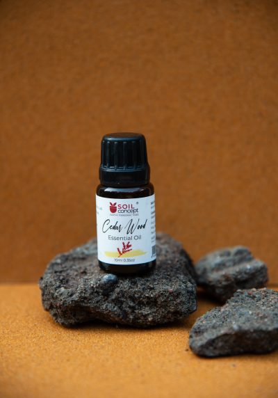 Cedarwood Essential Oil 10ml
